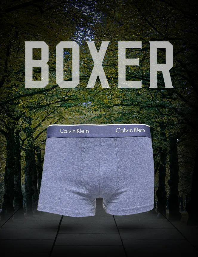 Boxer