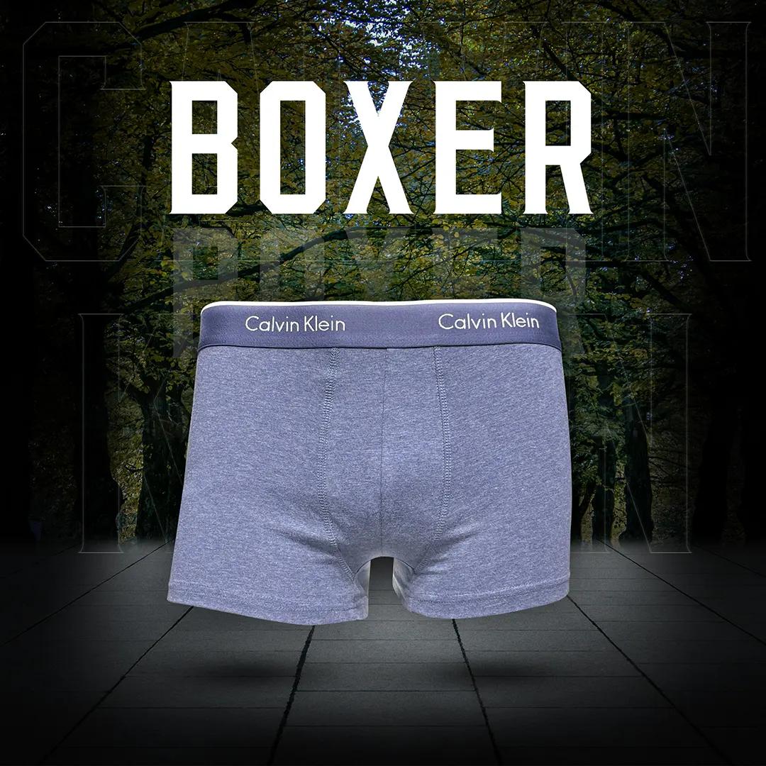 Boxer